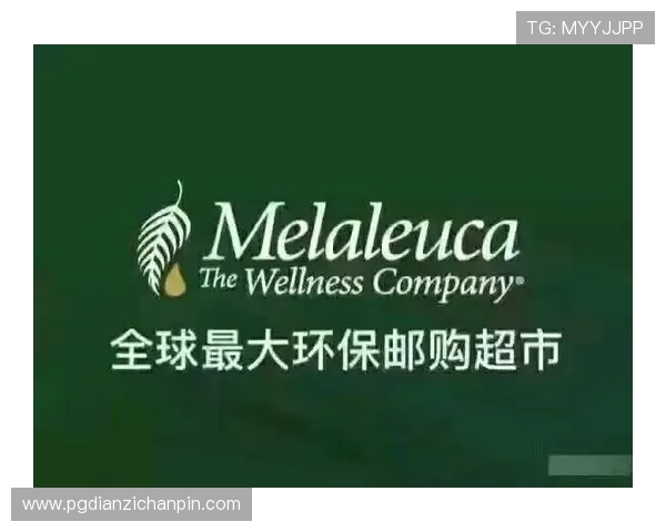 最新PGP会员价格公布，会员权益与价格变化全面解读