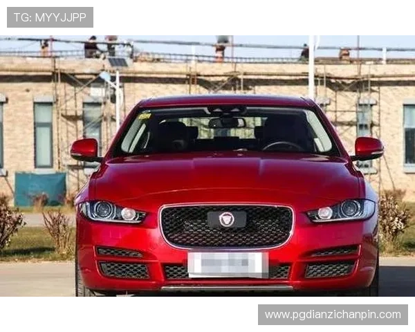 用户反馈PG试玩官网手机版界面简洁操作便捷深受好评