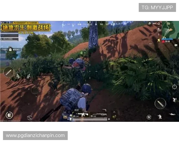 PG娱乐地址登录入口在哪详细介绍及最新入口获取方法解析