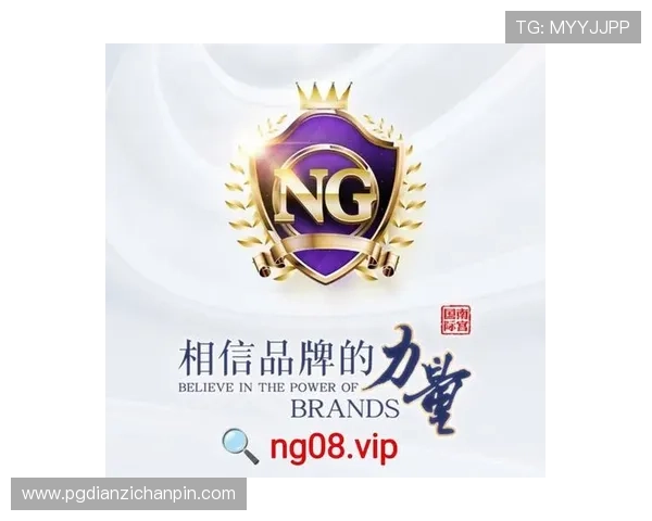 PG国际008官网入口安全登录方法，保障玩家账号信息安全畅玩PG国际008游戏