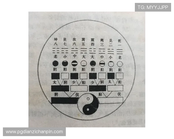 便捷的麻将胡了模拟器在线操作指南，帮助新手快速上手掌握胡牌技巧提升游戏体验
