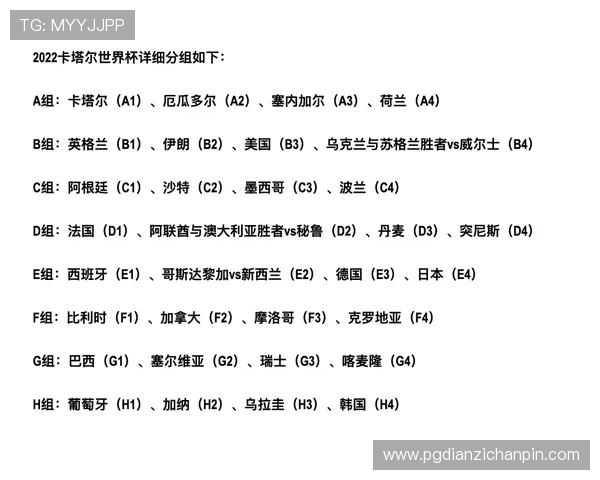 2026年世界杯新西兰对埃及比赛门票购买指南与最新购票流程介绍