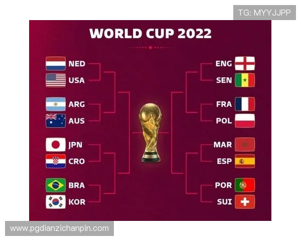 2026年世界杯荷兰VS日本比赛结果及赛后专家点评与数据统计